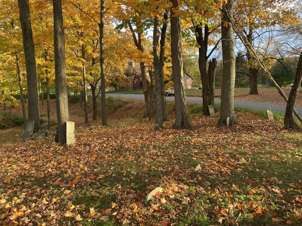 Scattered headstones in a largely abandoned cemetery.